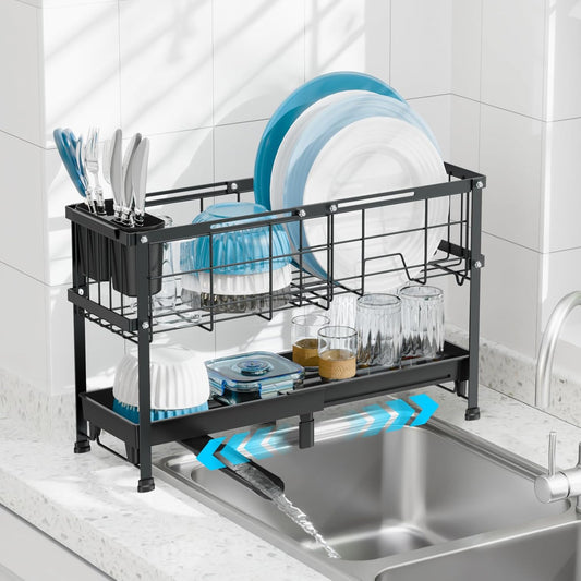 Narrow Dish Drying Rack, 2 Tier Small Dish Drainer for Kitchen Counter