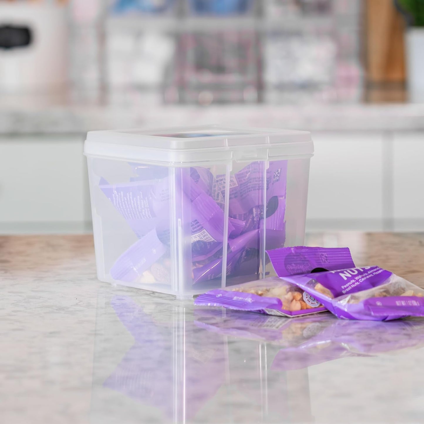 Vertical Plastic Flip Top Storage Containers Bins with Lids for Pantry, Home, Office, Organization