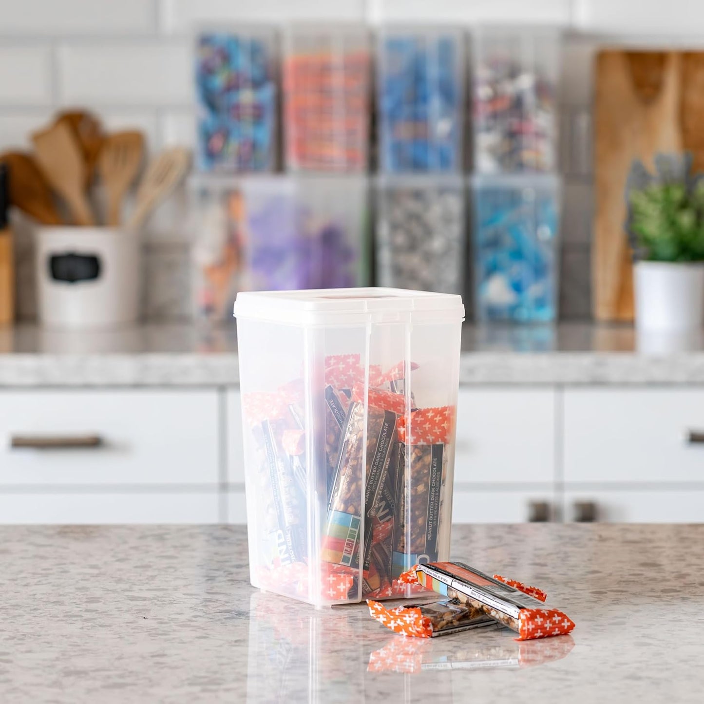 Vertical Plastic Flip Top Storage Containers Bins with Lids for Pantry, Home, Office, Organization
