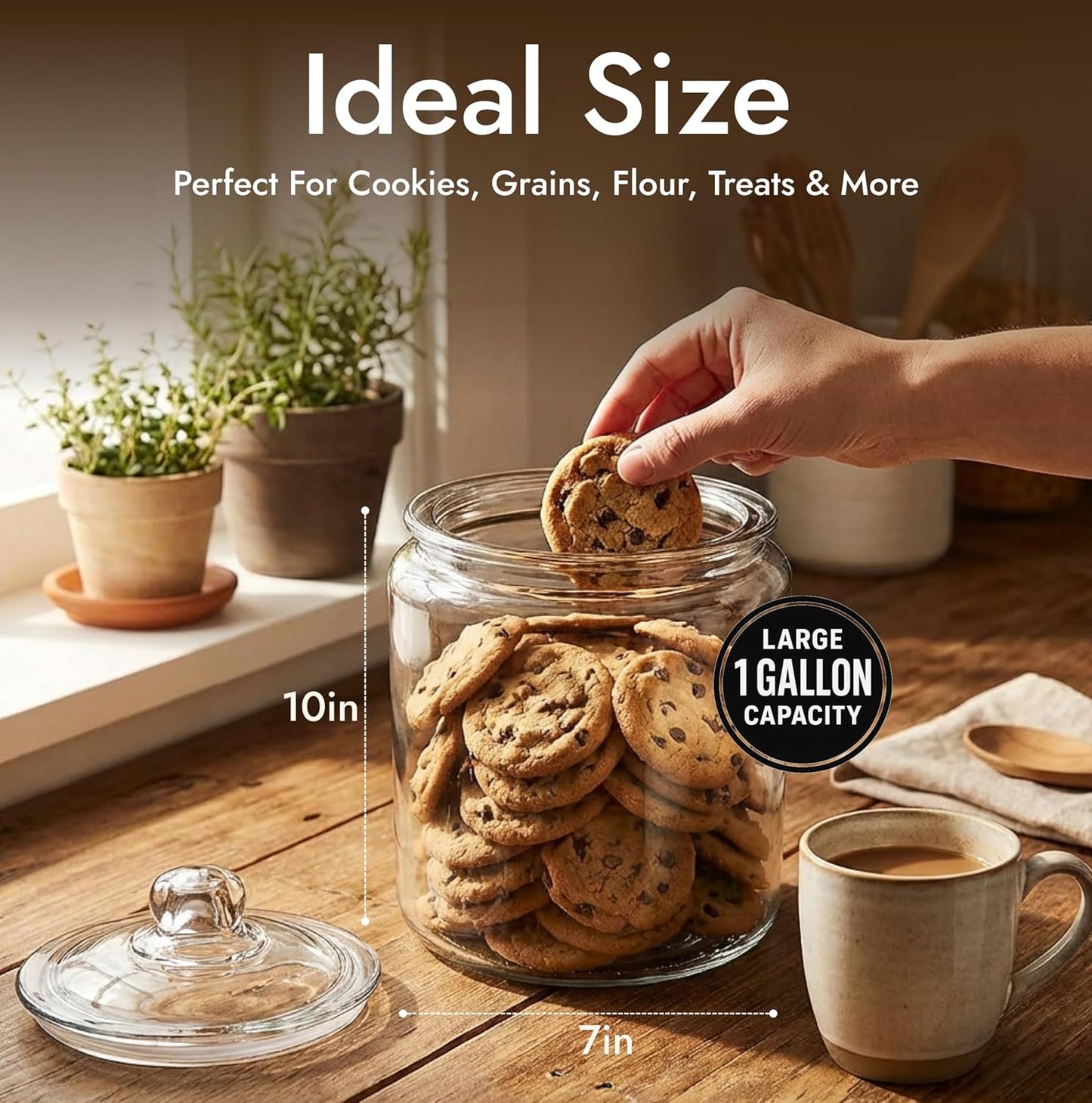1 Gallon Glass Cookie Jar with Lid – Glass Jar with Lid