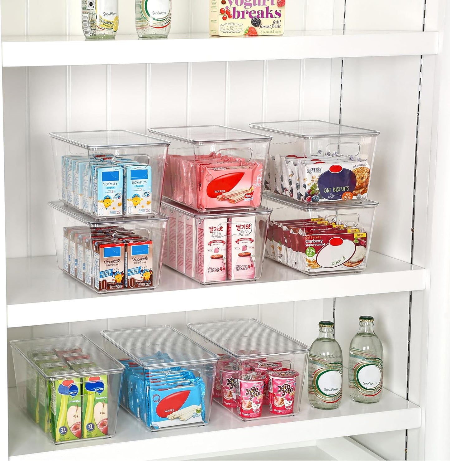 6 Pack Clear Stackable Storage Bins with Lids